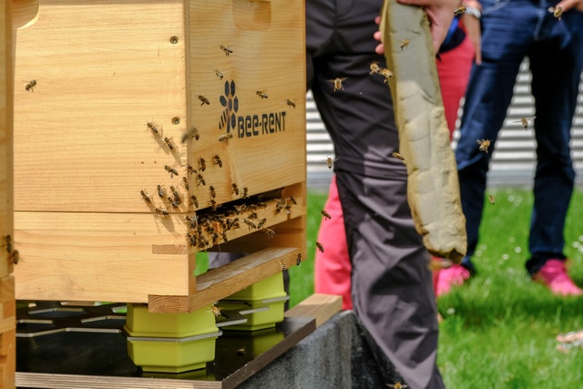 Biodiversität und Wasser