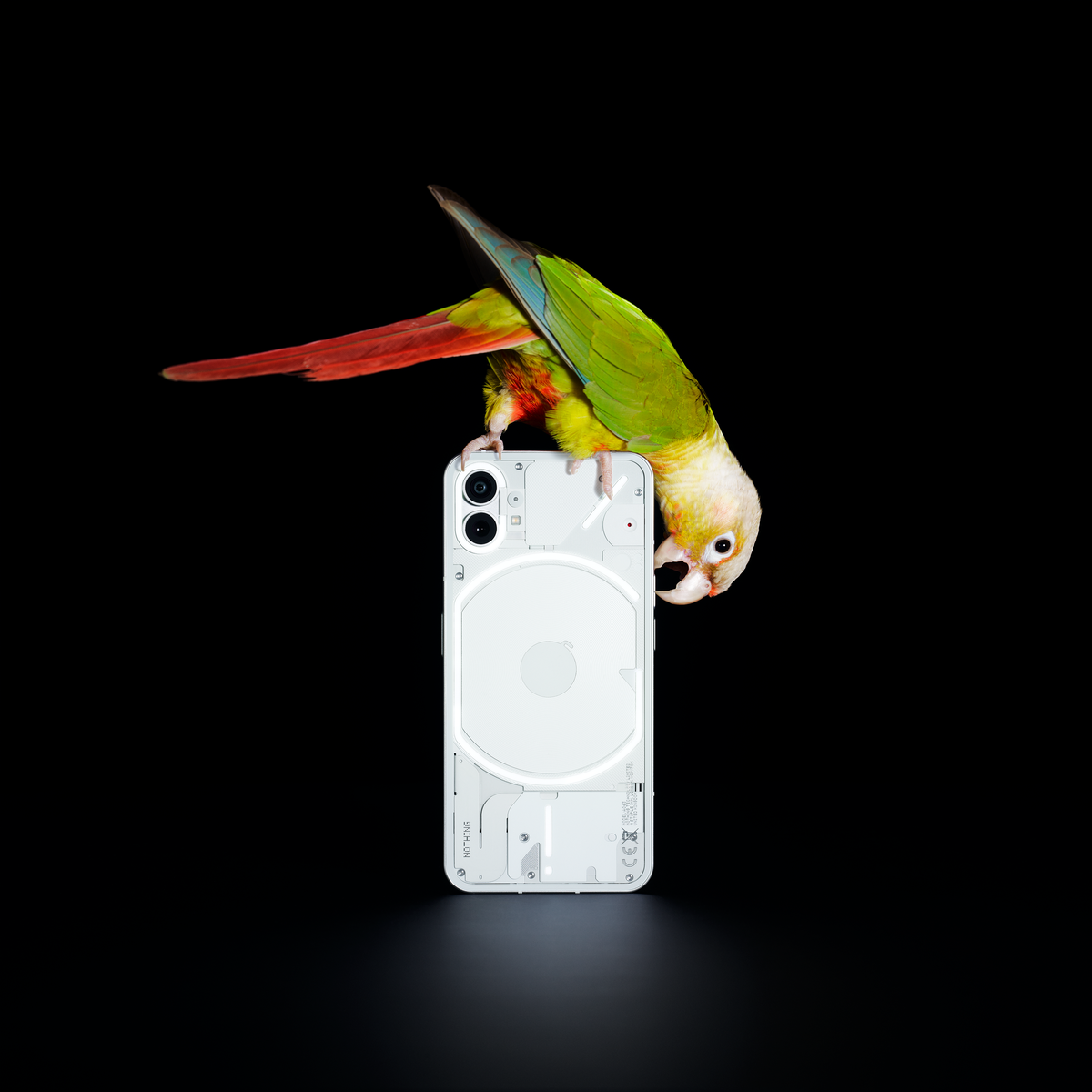 Phone (1): New smartphone from Nothing exclusive to Telekom 