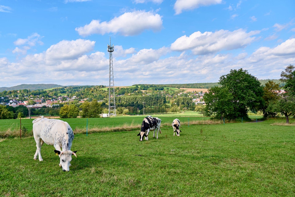 Extensive 5G geographic coverage across Germany